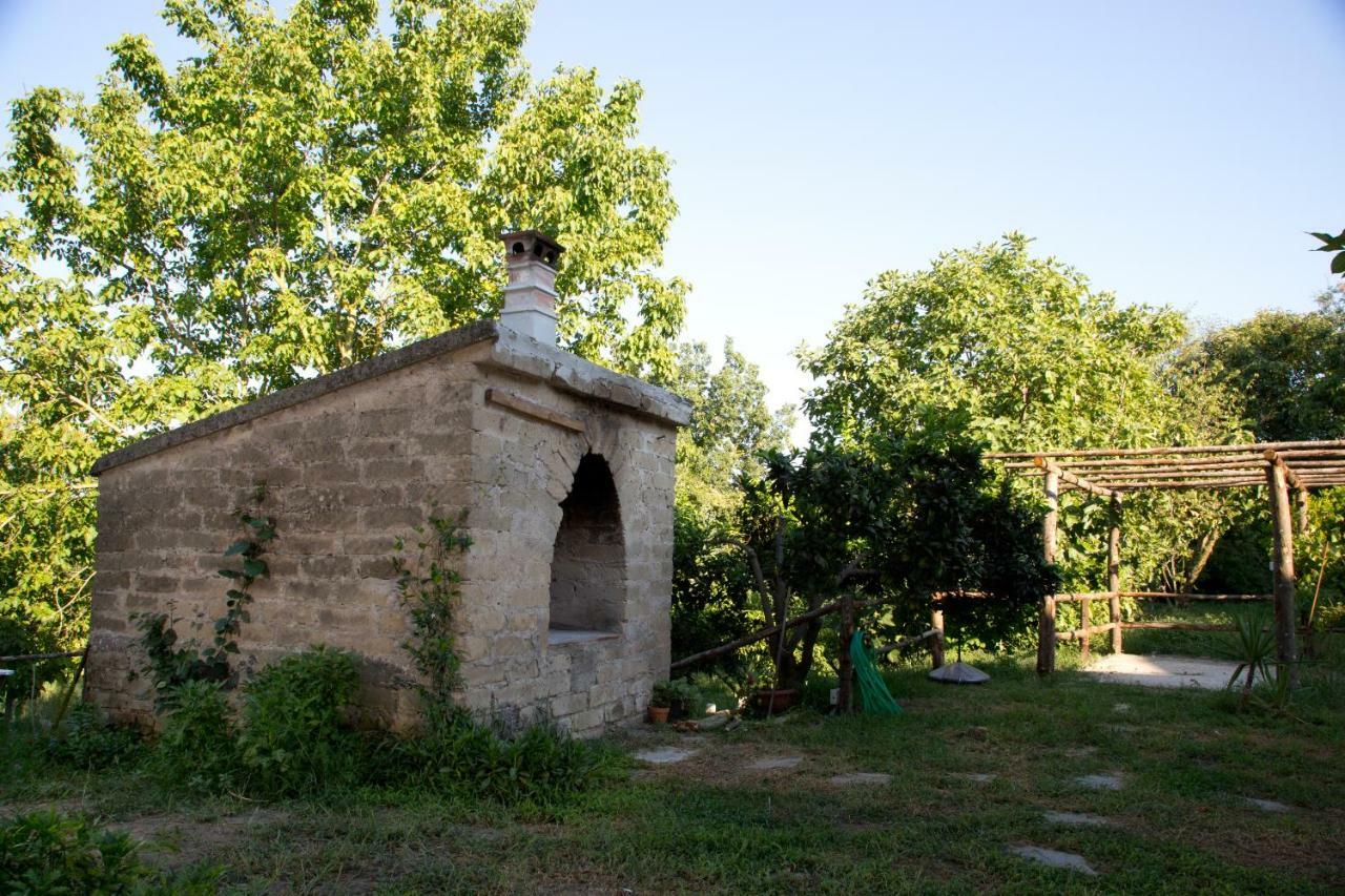 Il Moro Bianco Bed & Breakfast Teano Exterior photo