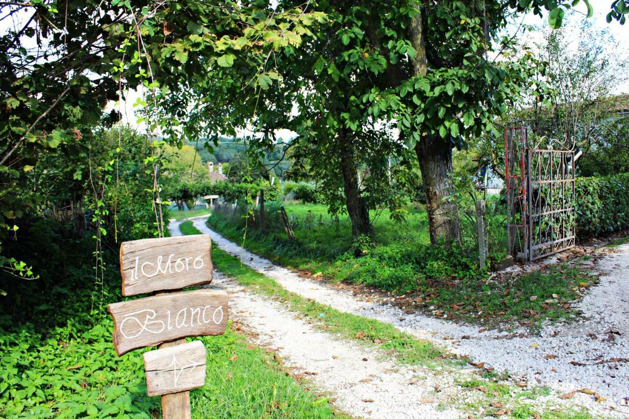 Il Moro Bianco Bed & Breakfast Teano Exterior photo
