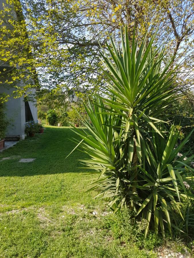 Il Moro Bianco Bed & Breakfast Teano Exterior photo